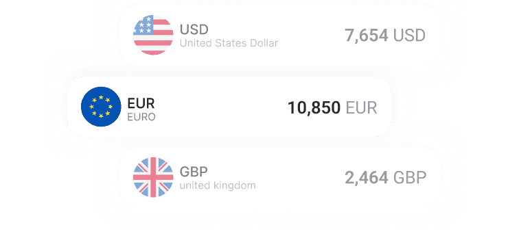 Multi-Currency Accounts